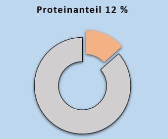 Protein 12 Prozent ohne Zuckerzusatz High Protein keto Frucht Mix BIO