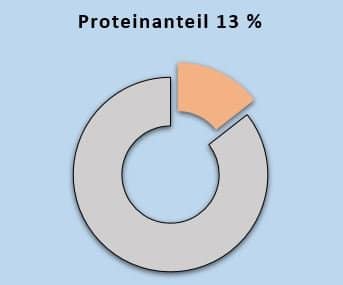 Protein 13 Prozent ohne Zuckerzusatz High Protein keto Leinsamen BIO
