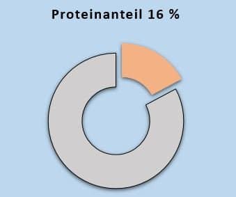 Protein 16 Prozent ohne Zuckerzusatz High Protein keto Sonnenblume Ingwer BIO