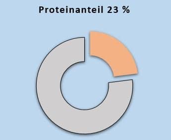 Protein 23 Prozent ohne Zuckerzusatz High Protein keto Kürbiskern BIO