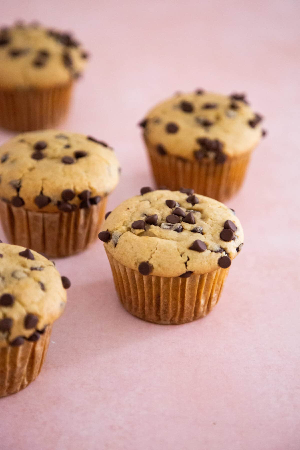Diablo choco chip muffin sugarfree zuckerfreie Vanillemuffins mit Schokostückchen low carb gesund naschen Diabetikerlebensmittel