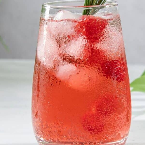 Zuckerfreier Sirup Himbeer Toschi Diabetikerlebensmittel ohne Zuckerzusatz abnehmen weniger Kalorien gesunde Limonade